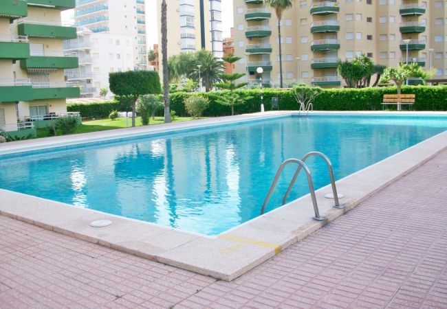 Apartamento en Gandia - ZEUS BAJO - A   /   PLAYA DE GANDIA