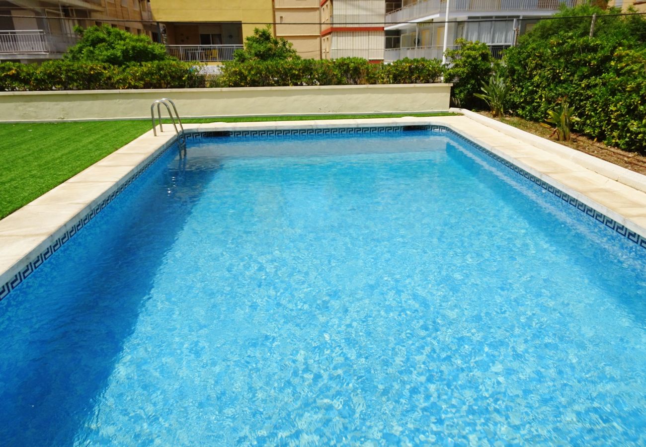 Apartamento en Gandia - VORAMAR 4º - 7ª   /     PLAYA DE GANDIA