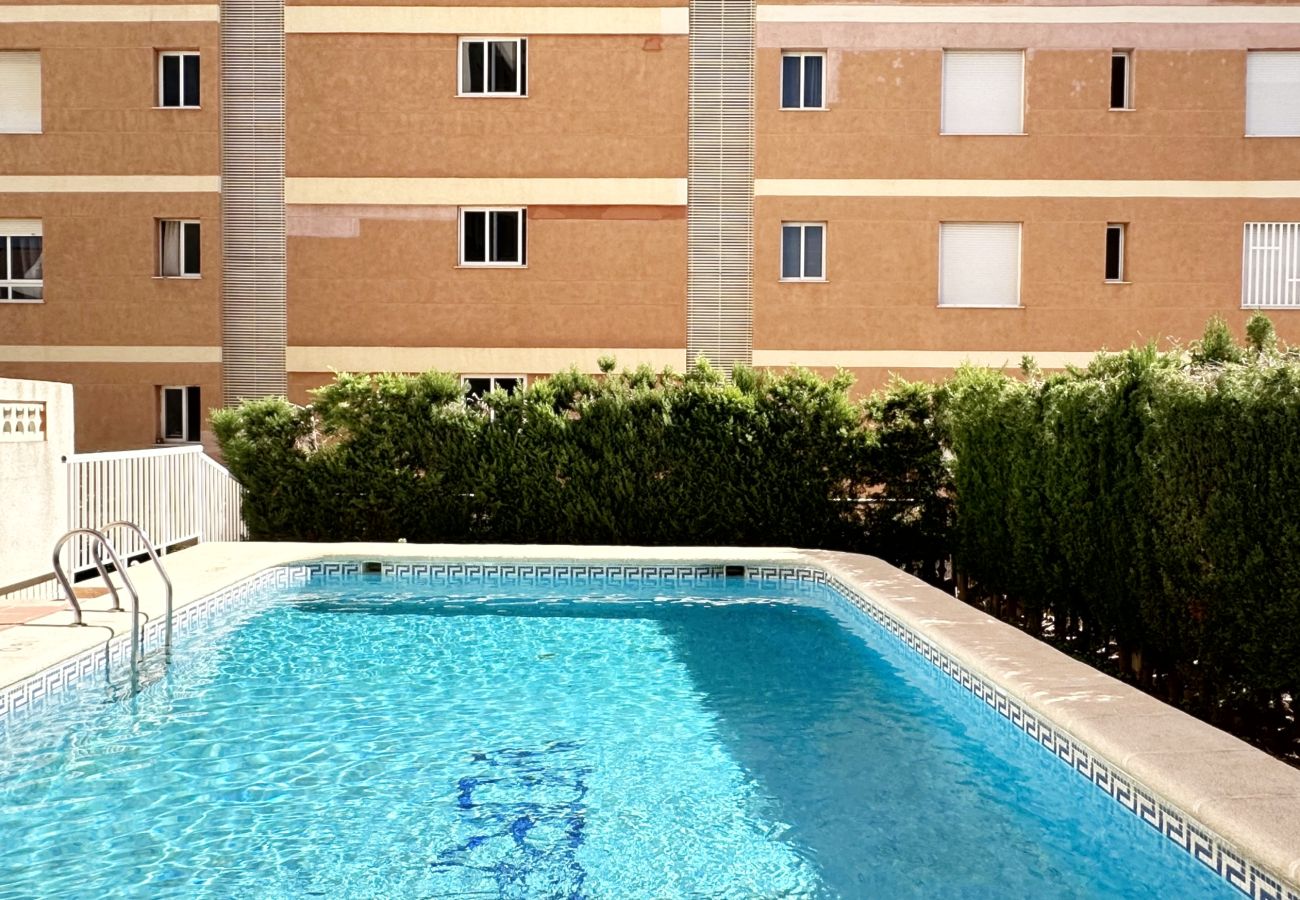 Apartamento en Gandia - VORAMAR III - 1ª - 1º - 1ª    /    PLAYA DE GANDIA