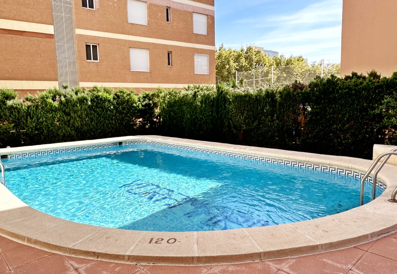 Apartamento en Gandia - VORAMAR III - 1ª - 1º - 1ª    /    PLAYA DE GANDIA