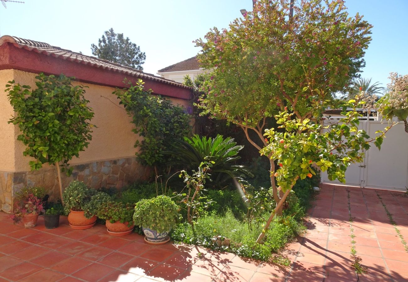 Chalet en Gandia - VILLAR DEL DUC - Nº 12   /    PLAYA DE GANDIA