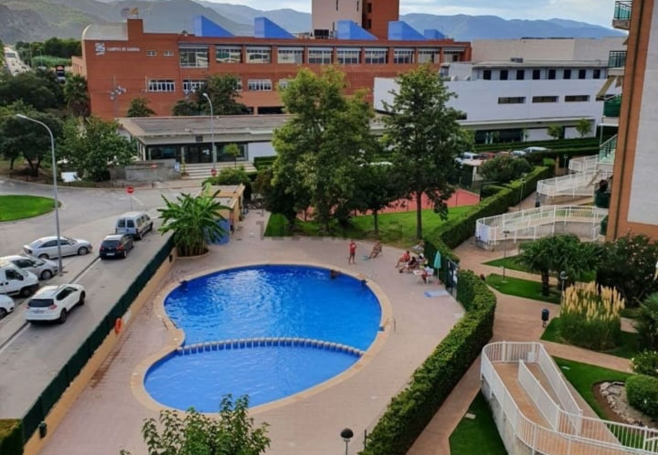 Apartamento en Gandia - UNIVERSIDAD DEL MAR Bl2 - 1ª - 6º - 29   /   PLAYA DE GANDIA