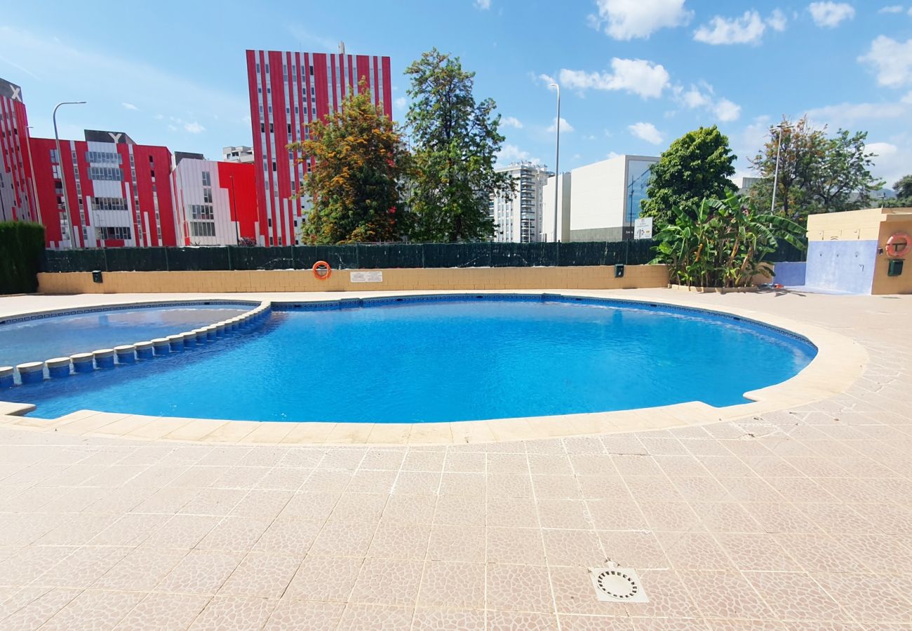 Apartamento en Gandia - UNIVERSIDAD DEL MAR Bl2 - 1ª - 6º - 29   /   PLAYA DE GANDIA