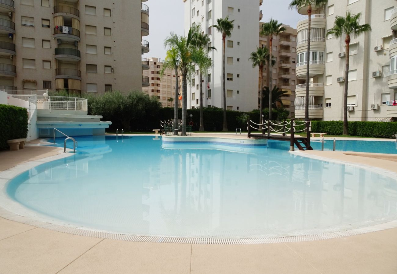 Apartamento en Gandia - TROPICANA PARK 18 - 5º - 28   /    PLAYA DE GANDIA