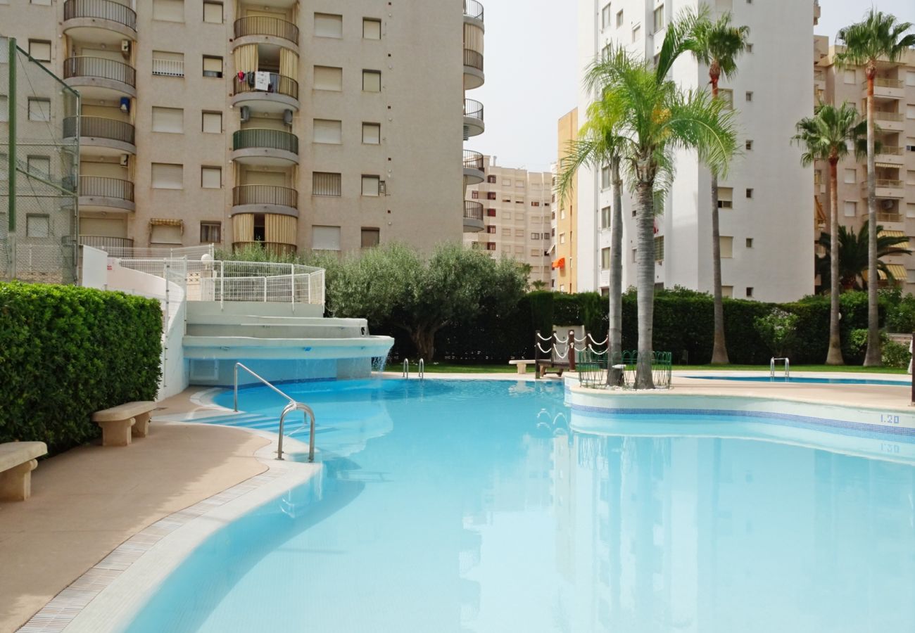 Apartamento en Gandia - TROPICANA PARK 18 - 5º - 28   /    PLAYA DE GANDIA