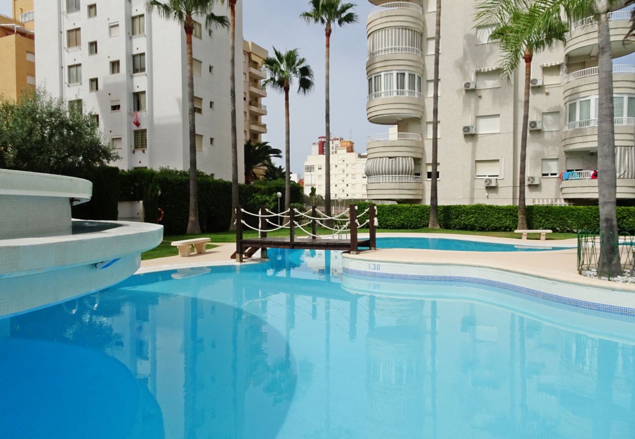 Apartamento en Gandia - TROPICANA PARK 18 - 5º - 28   /    PLAYA DE GANDIA