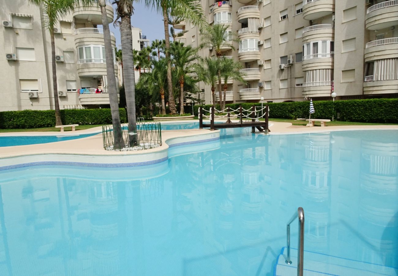 Apartamento en Gandia - TROPICANA PARK 18 - 5º - 28   /    PLAYA DE GANDIA