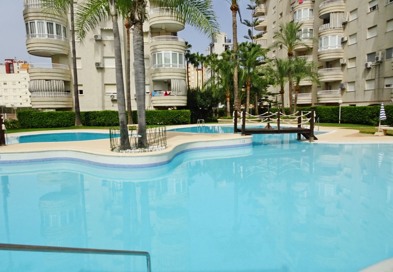 Apartamento en Gandia - TROPICANA PARK 18 - 5º - 28   /    PLAYA DE GANDIA