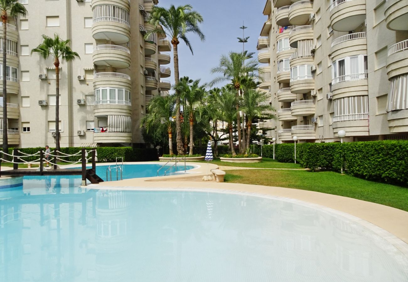 Apartamento en Gandia - TROPICANA PARK 18 - 5º - 28   /    PLAYA DE GANDIA