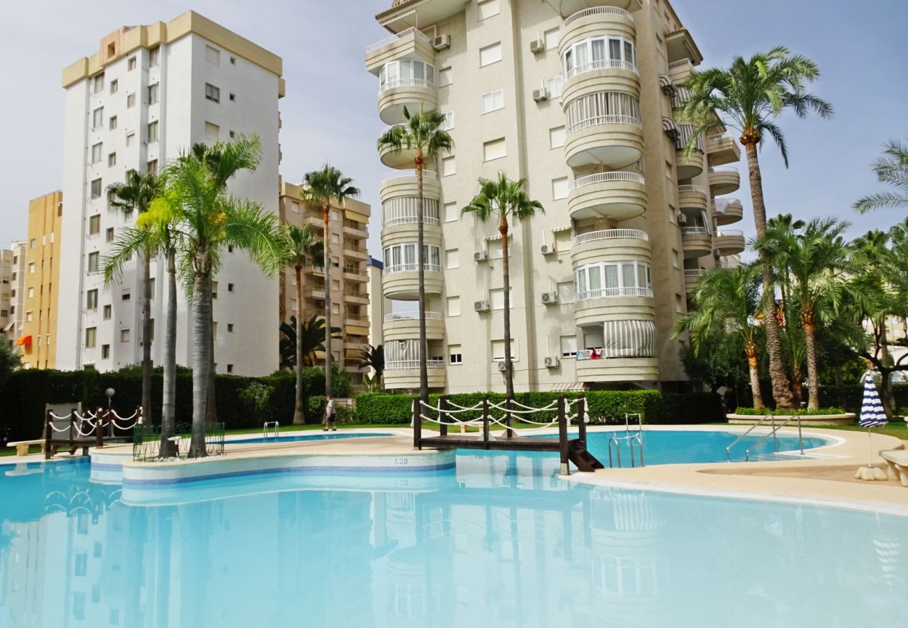 Apartamento en Gandia - TROPICANA PARK 18 - 5º - 28   /    PLAYA DE GANDIA