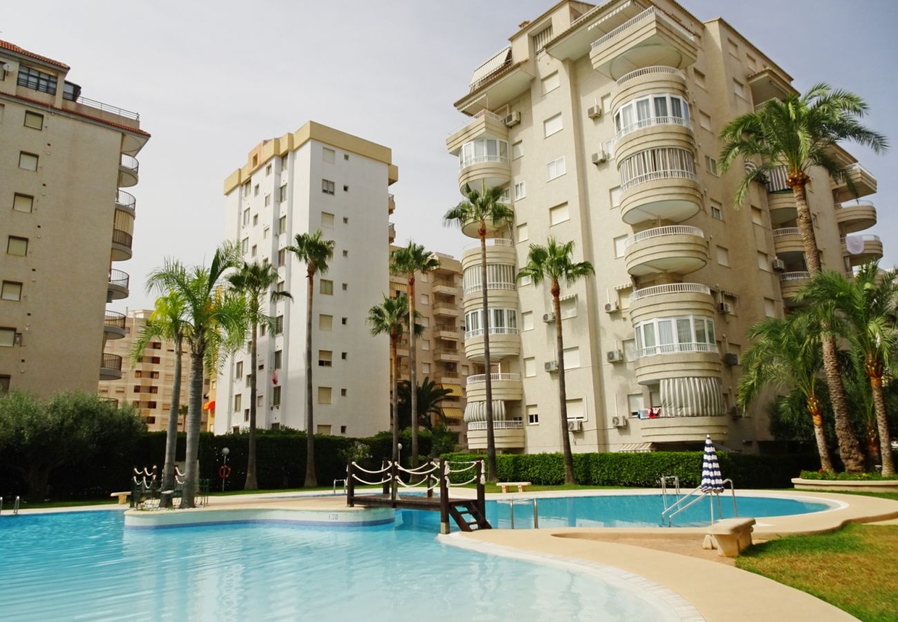 Apartamento en Gandia - TROPICANA PARK 18 - 5º - 28   /    PLAYA DE GANDIA