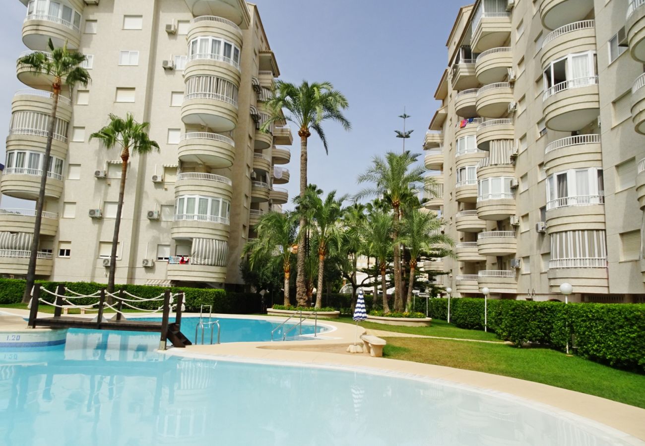 Apartamento en Gandia - TROPICANA PARK 18 - 5º - 28   /    PLAYA DE GANDIA