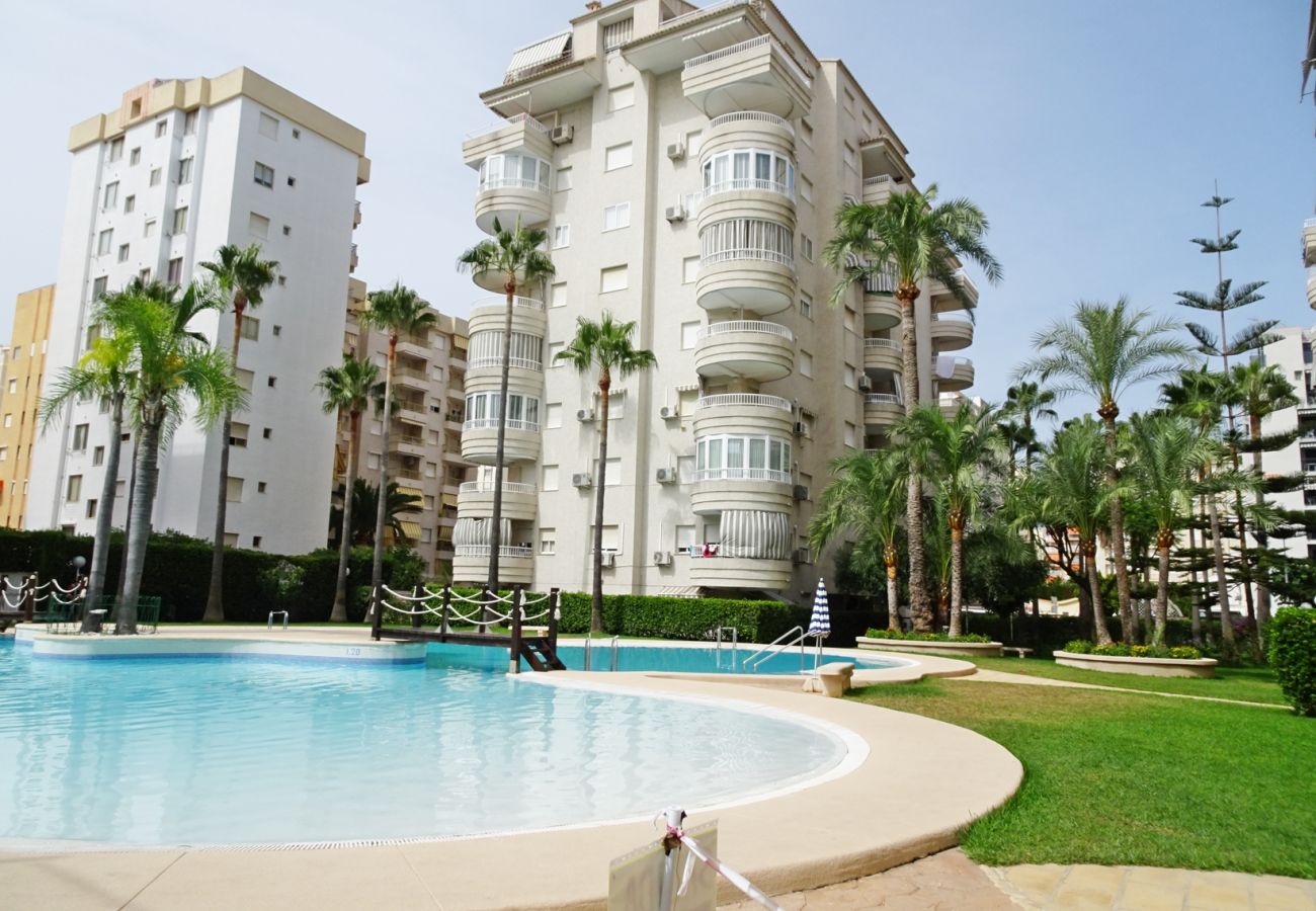 Apartamento en Gandia - TROPICANA PARK 18 - 5º - 28   /    PLAYA DE GANDIA