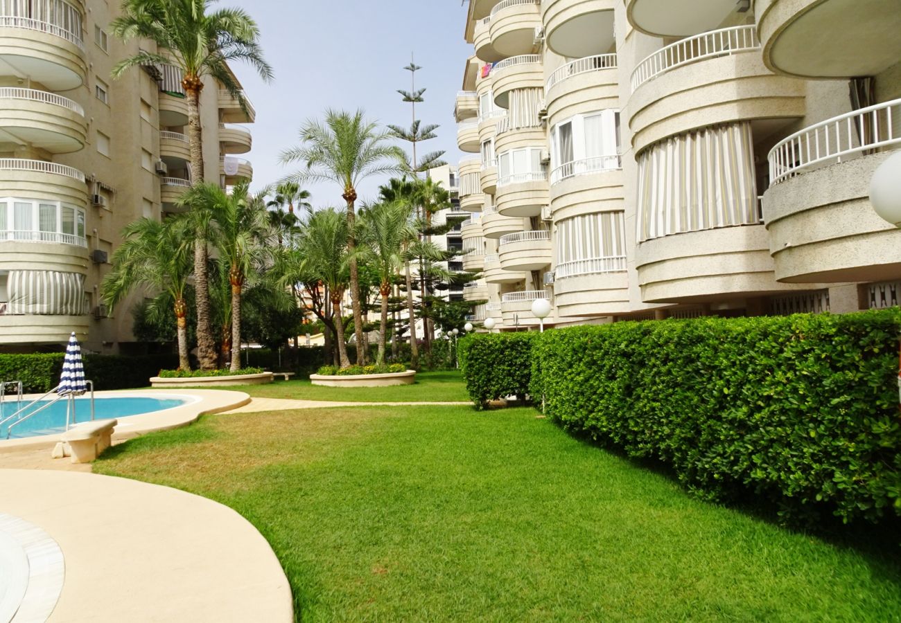 Apartamento en Gandia - TROPICANA PARK 18 - 5º - 28   /    PLAYA DE GANDIA