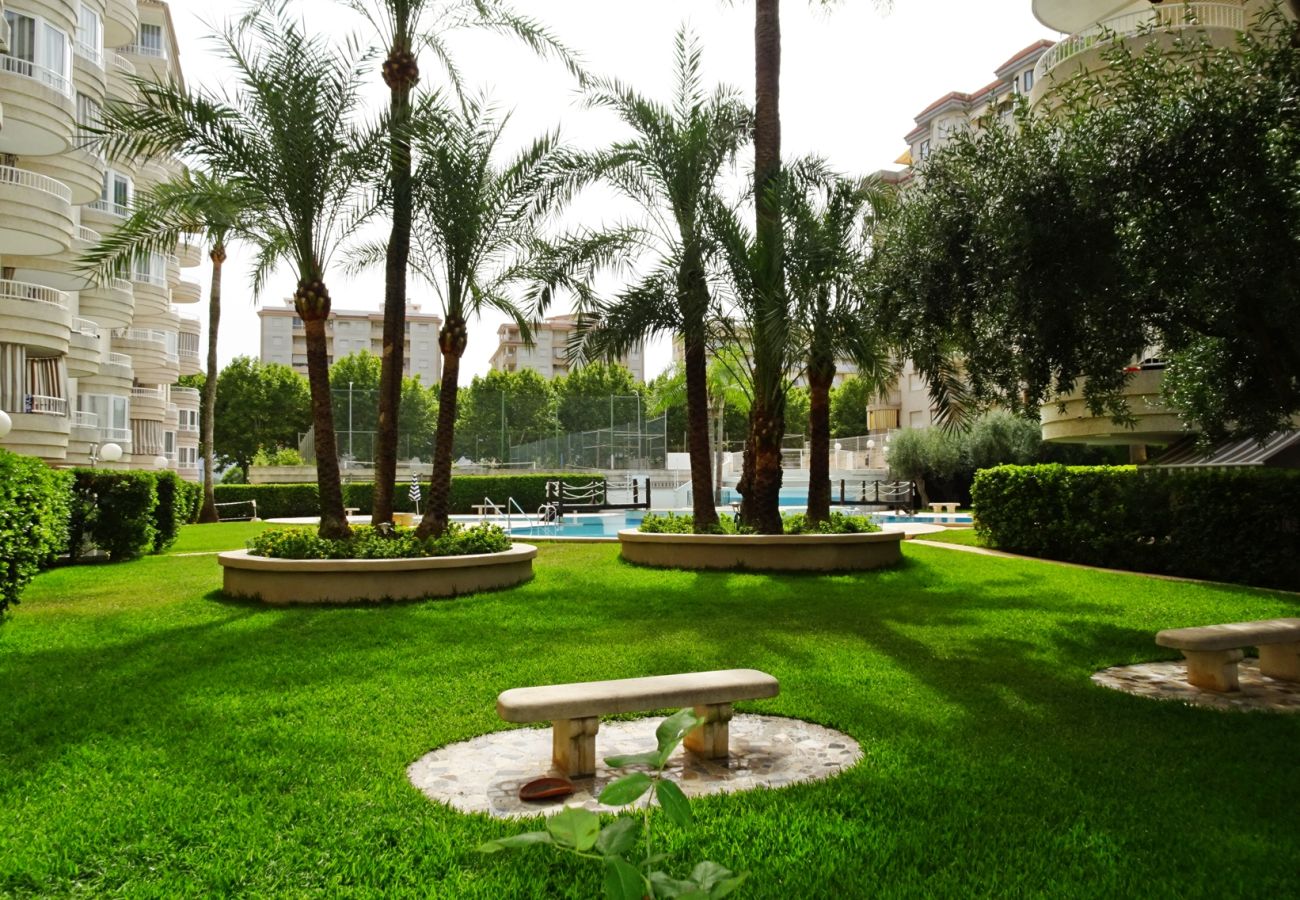 Apartamento en Gandia - TROPICANA PARK 18 - 5º - 28   /    PLAYA DE GANDIA