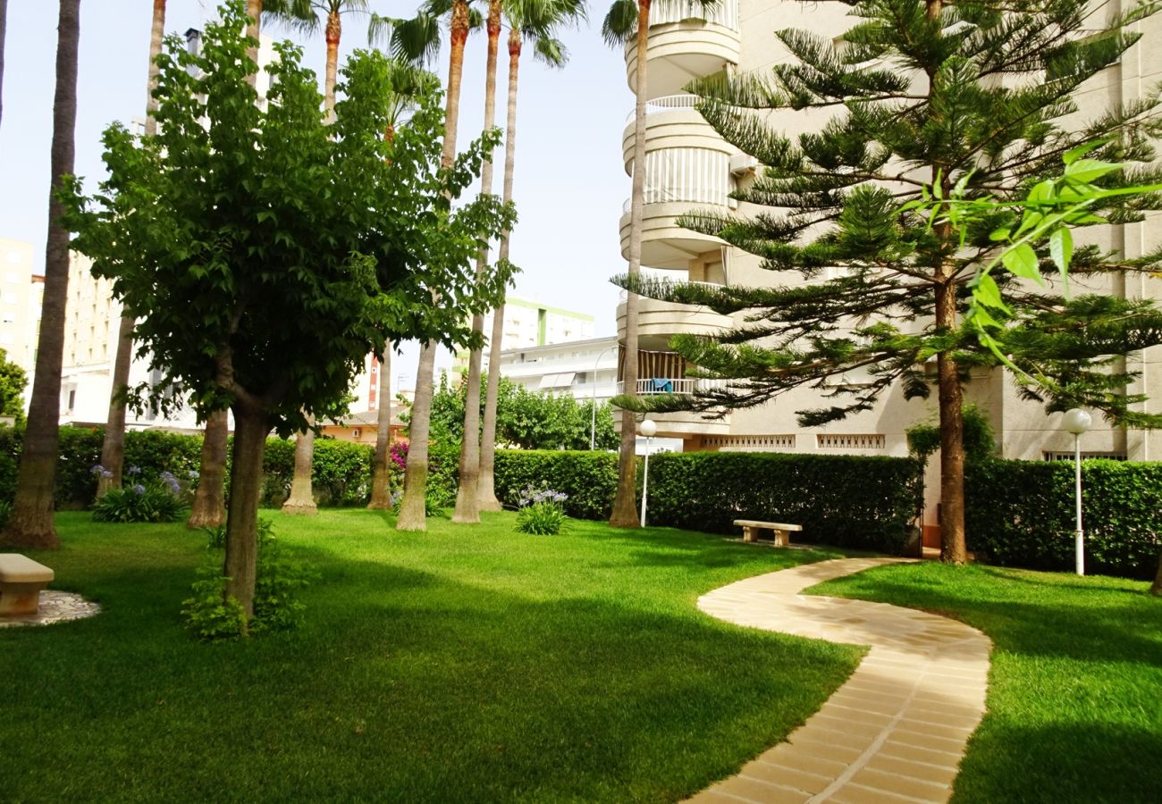 Apartamento en Gandia - TROPICANA PARK 18 - 5º - 28   /    PLAYA DE GANDIA