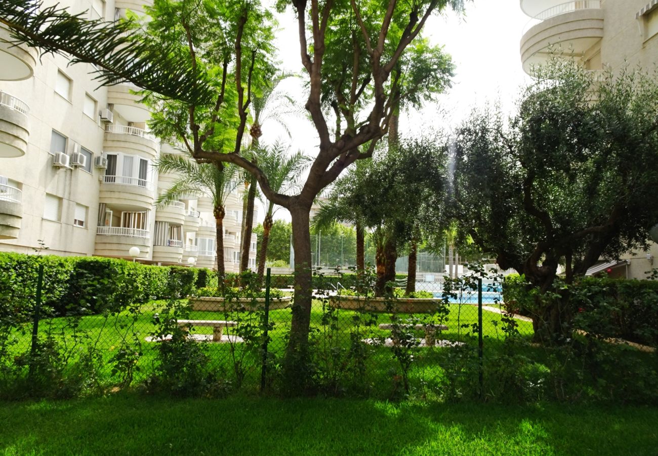 Apartamento en Gandia - TROPICANA PARK 18 - 5º - 28   /    PLAYA DE GANDIA