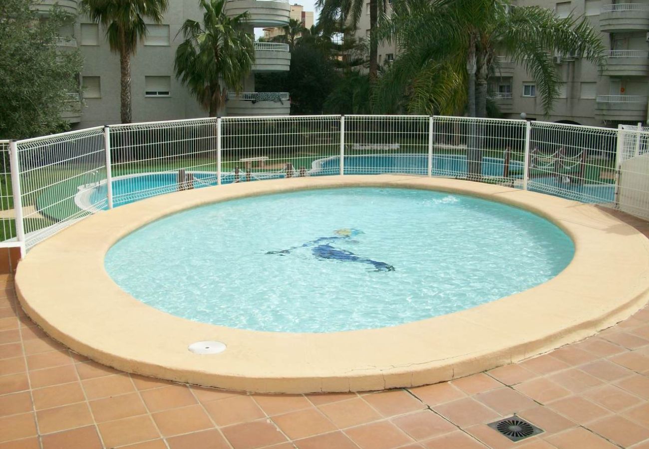 Apartamento en Gandia - TROPICANA PARK 18 - 5º - 28   /    PLAYA DE GANDIA