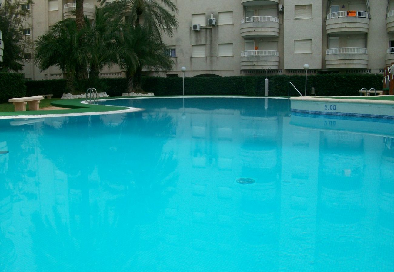 Apartamento en Gandia - TROPICANA PARK 18 - 5º - 28   /    PLAYA DE GANDIA