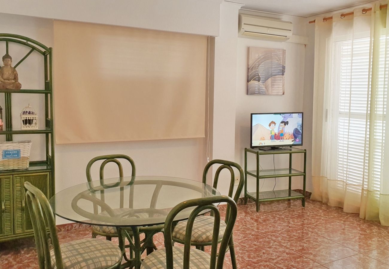 Apartamento en Gandia - TROPICANA PARK 4ª - 9º - 42ª   /    PLAYA DE GANDIA