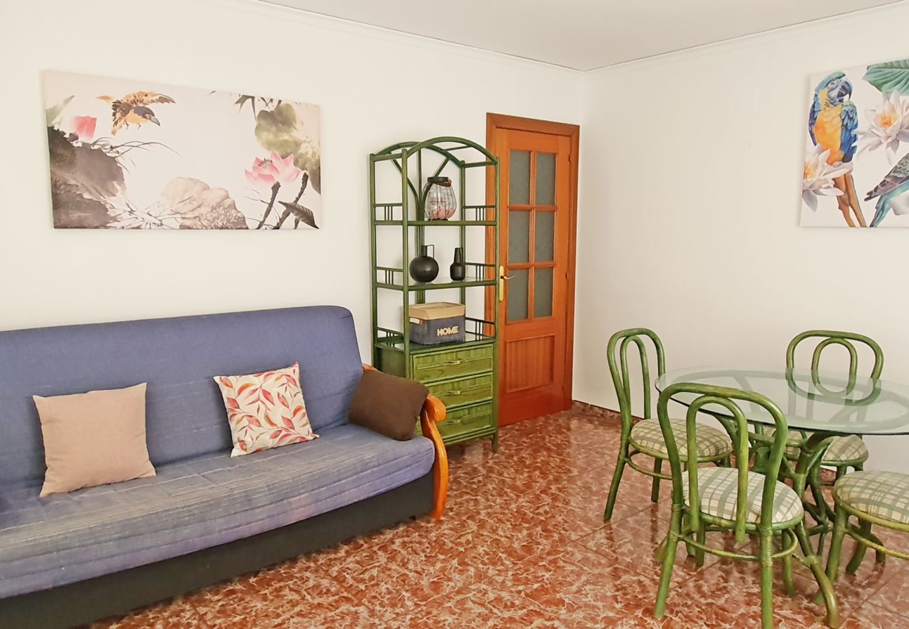 Apartamento en Gandia - TROPICANA PARK 4ª - 9º - 42ª   /    PLAYA DE GANDIA
