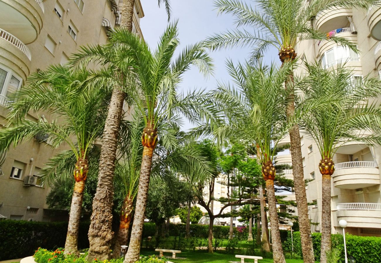 Apartamento en Gandia - TROPICANA PARK 4ª - 9º - 42ª   /    PLAYA DE GANDIA