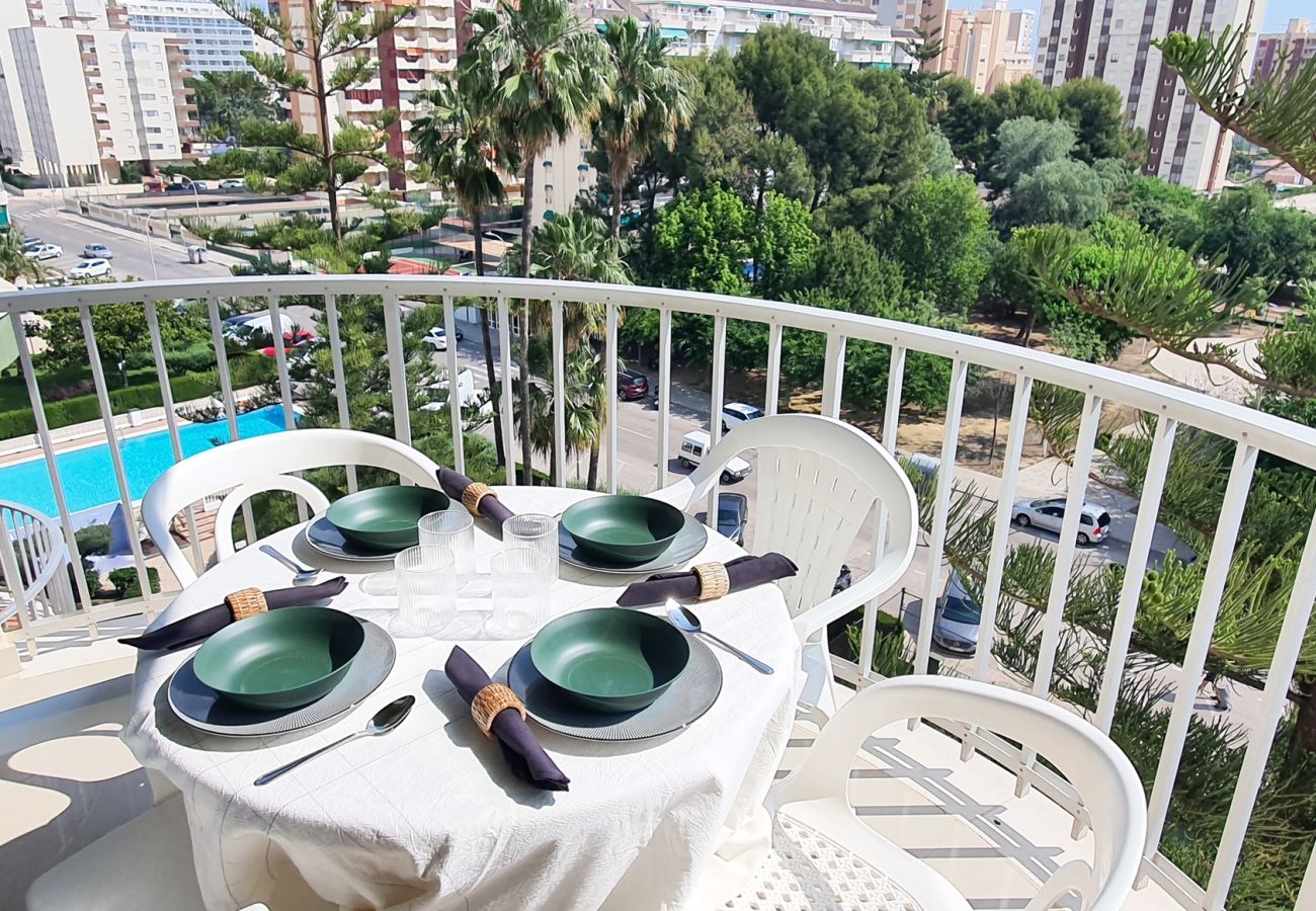 Apartamento en Gandia - SOROLLA A - 6º - 26ª   /    PLAYA DE GANDIA