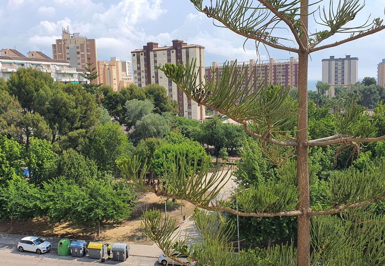 Apartamento en Gandia - SOROLLA A - 6º - 26ª   /    PLAYA DE GANDIA