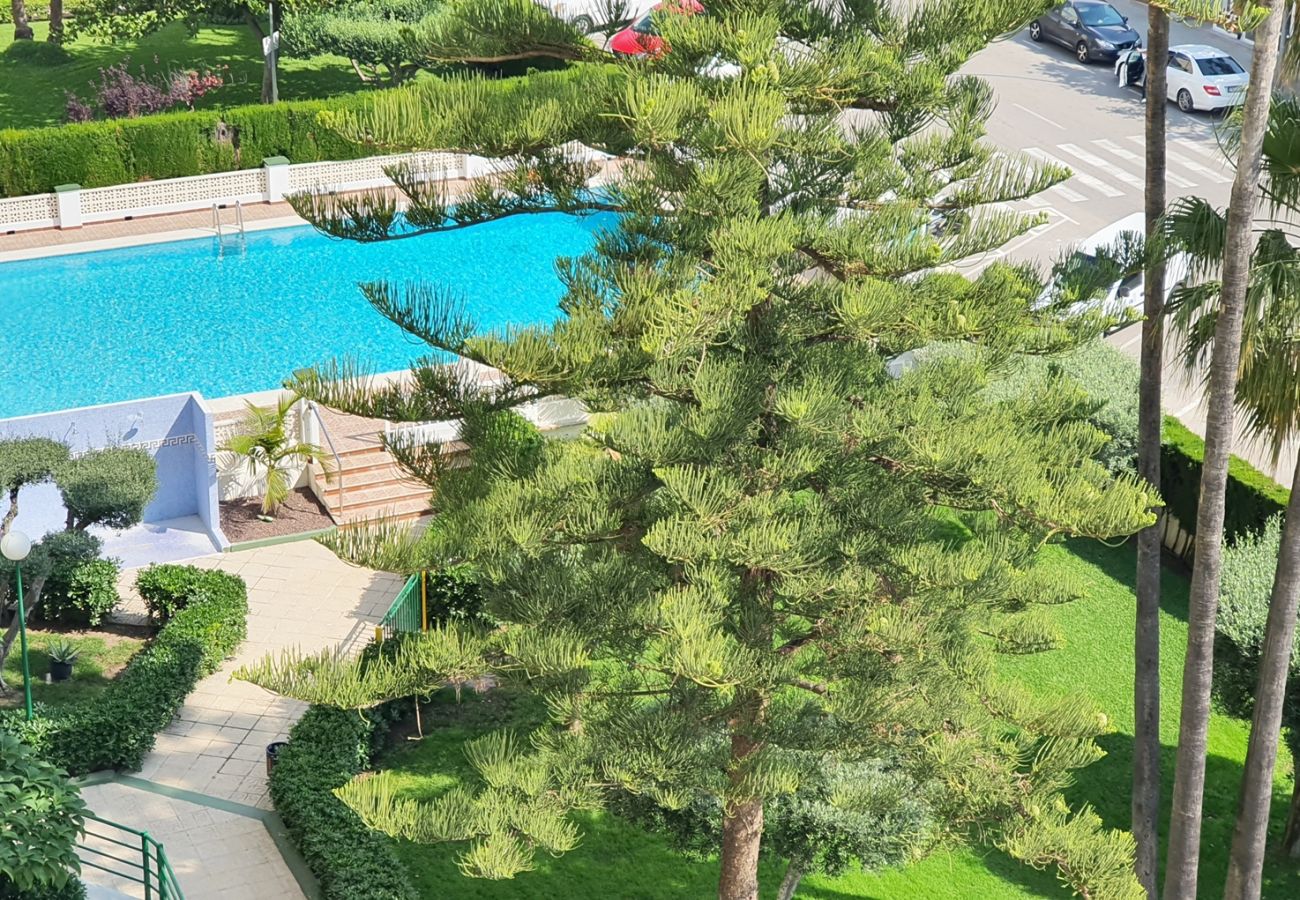 Apartamento en Gandia - SOROLLA A - 6º - 26ª   /    PLAYA DE GANDIA