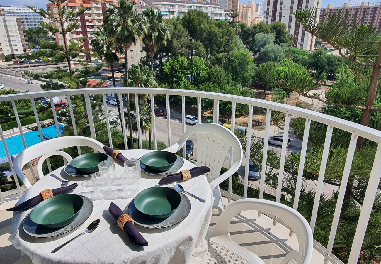 Apartamento en Gandia - SOROLLA A - 6º - 26ª   /    PLAYA DE GANDIA