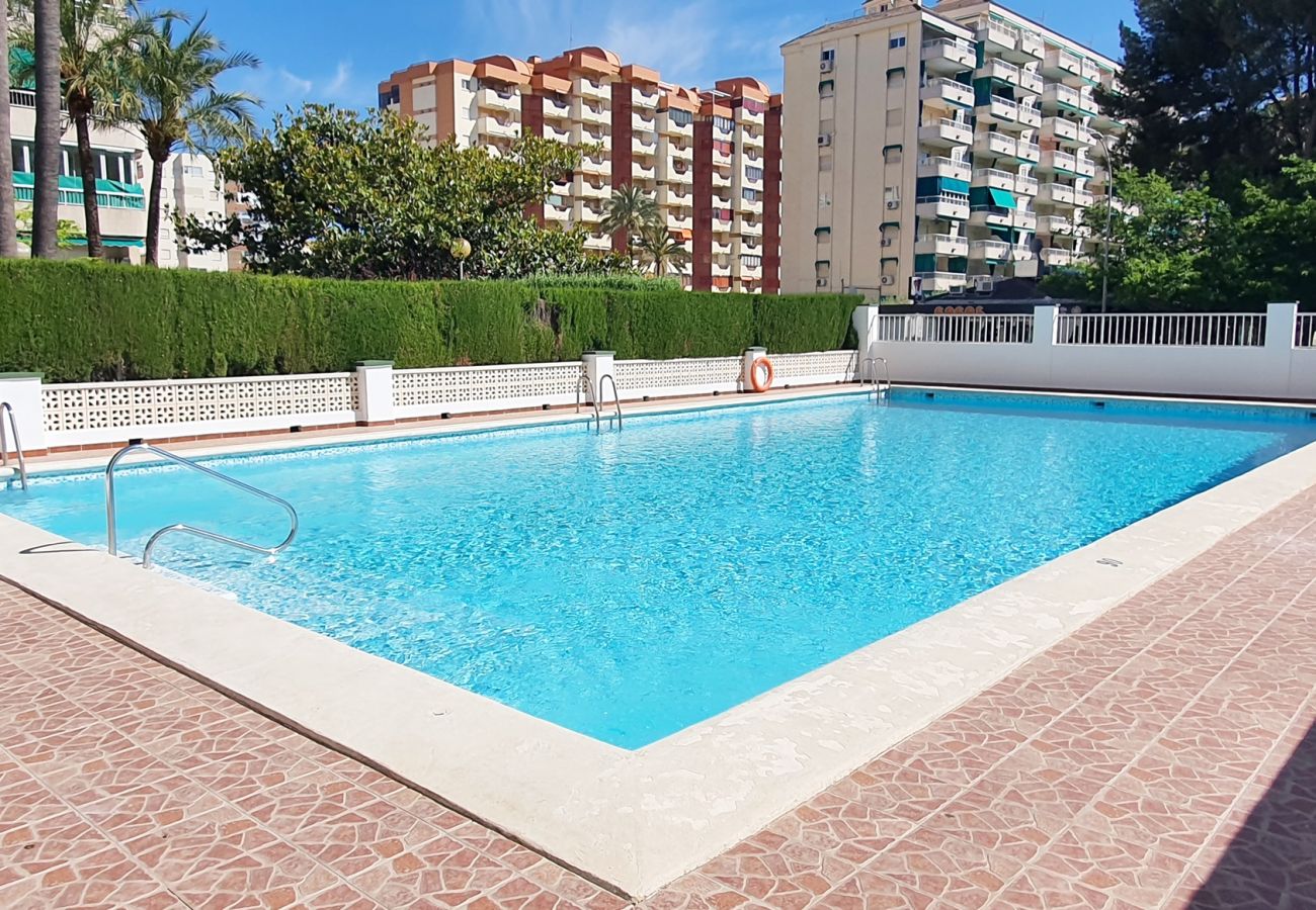 Apartamento en Gandia - SOROLLA A - 6º - 26ª   /    PLAYA DE GANDIA