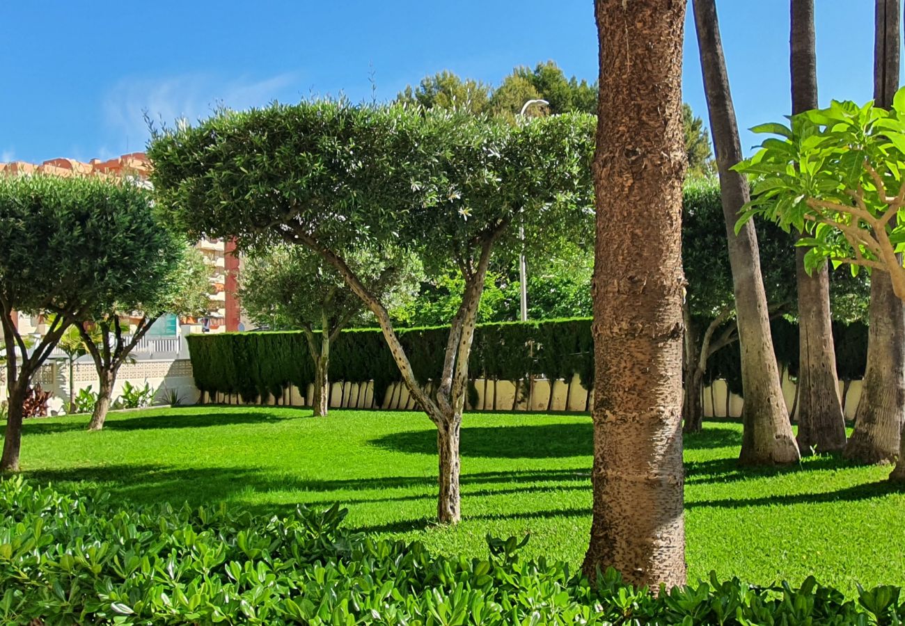 Apartamento en Gandia - SOROLLA A - 6º - 26ª   /    PLAYA DE GANDIA