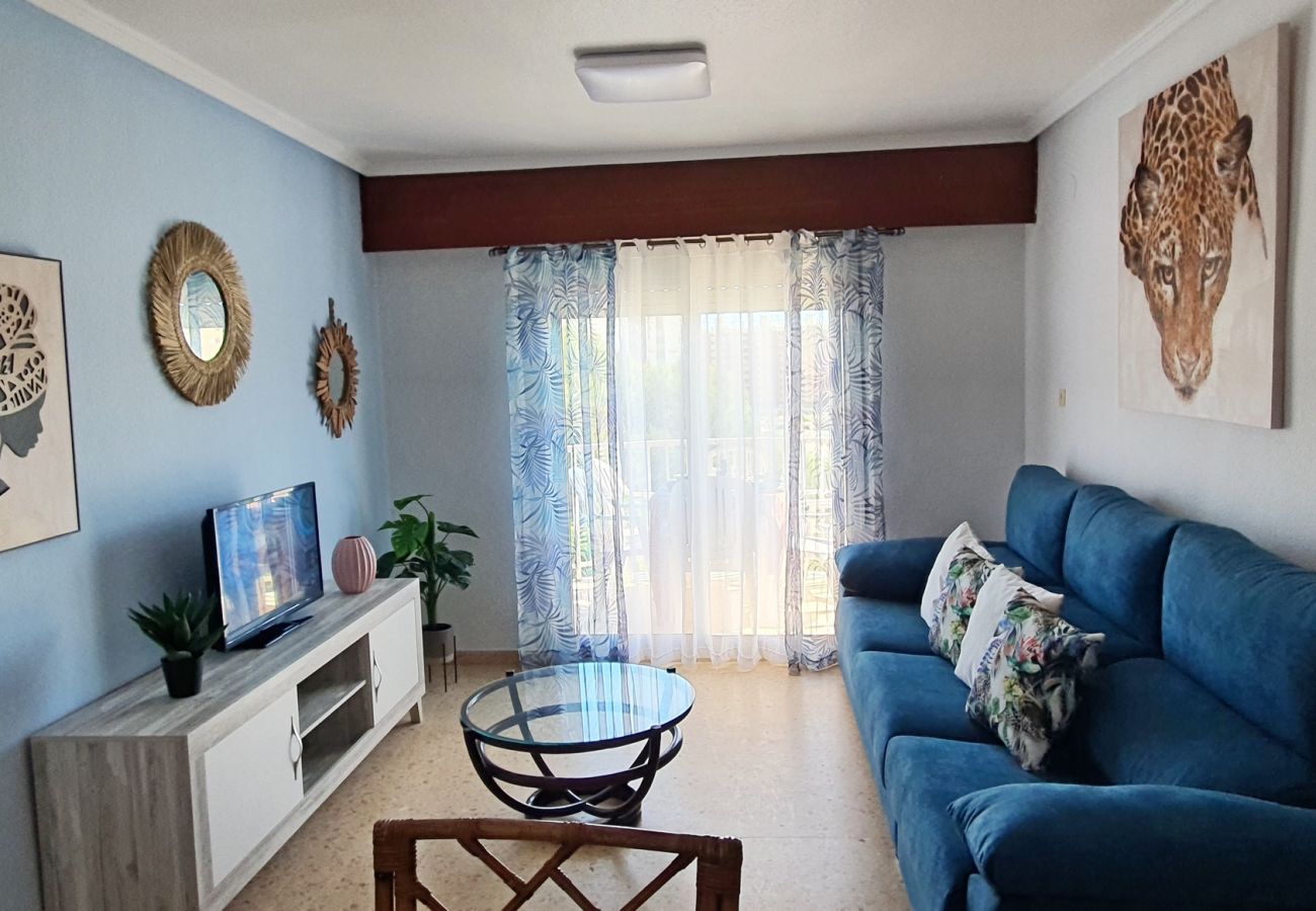 Apartamento en Gandia - SOROLLA B - 6º - 27ª    /    PLAYA DE GANDIA