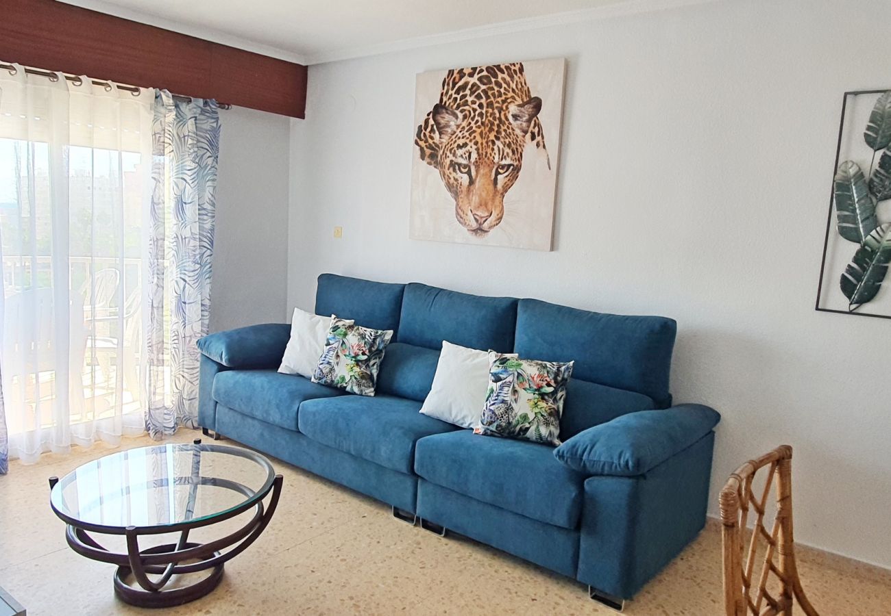 Apartamento en Gandia - SOROLLA B - 6º - 27ª    /    PLAYA DE GANDIA