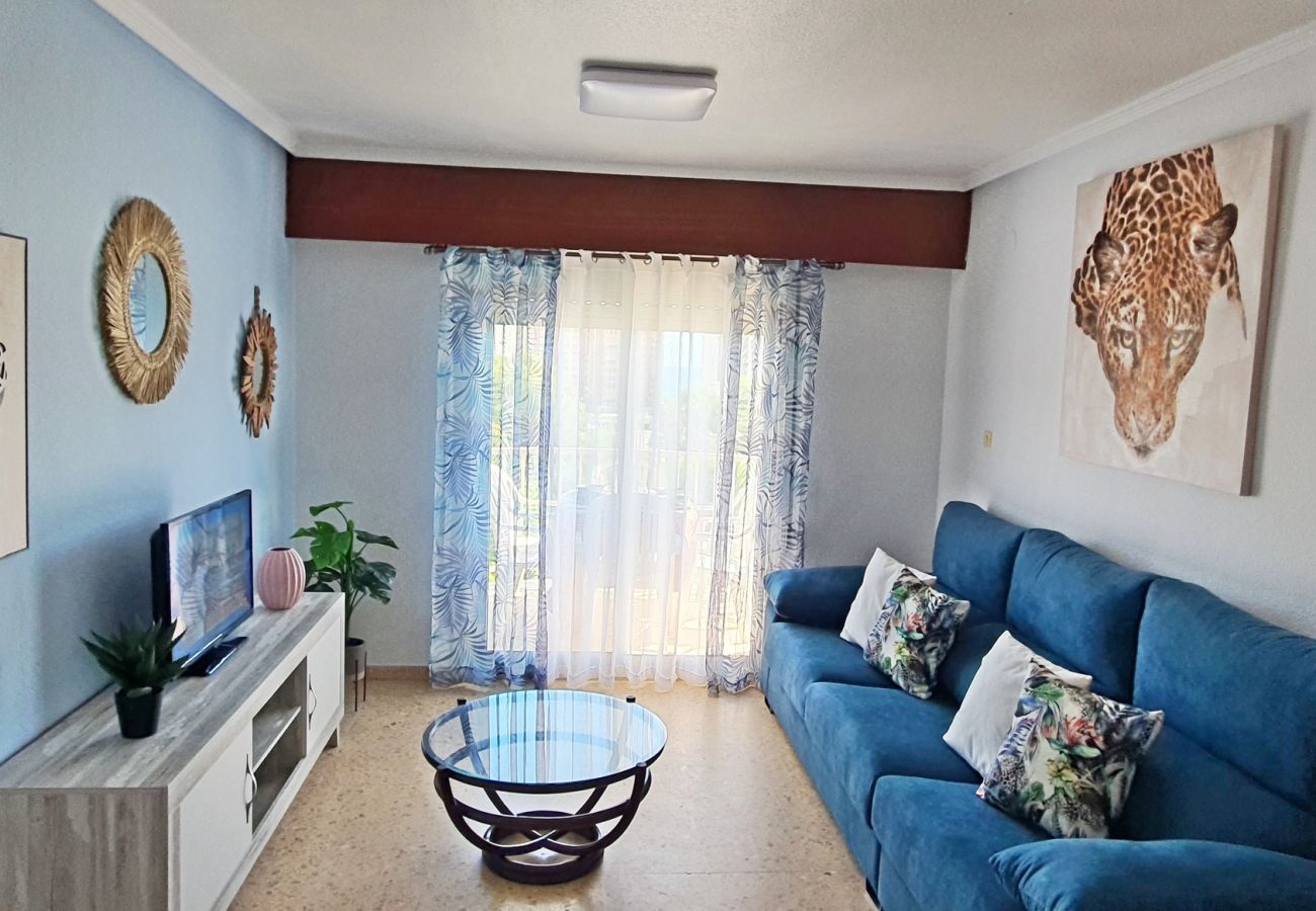 Apartamento en Gandia - SOROLLA B - 6º - 27ª    /    PLAYA DE GANDIA