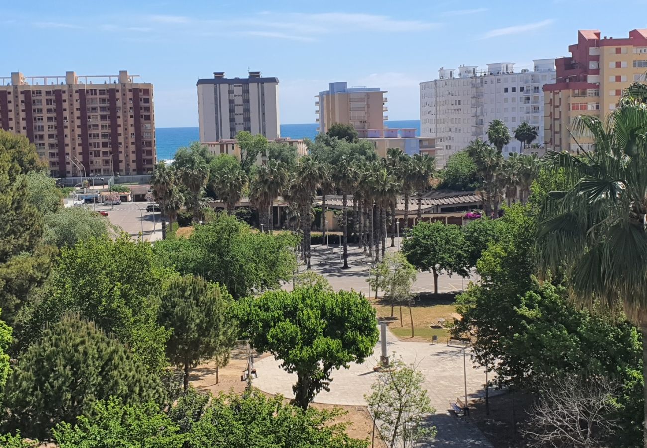 Apartamento en Gandia - SOROLLA B - 6º - 27ª    /    PLAYA DE GANDIA