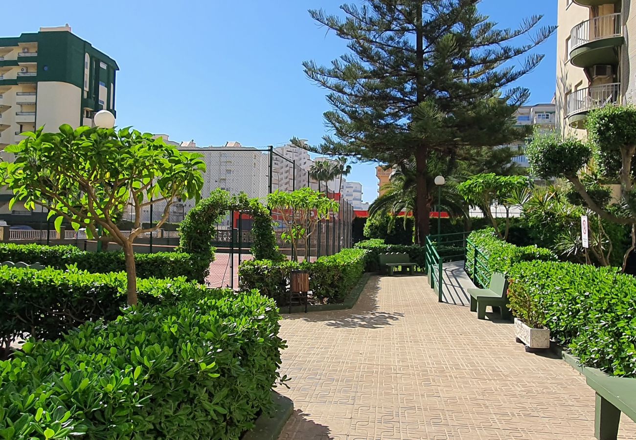Apartamento en Gandia - SOROLLA B - 6º - 27ª    /    PLAYA DE GANDIA