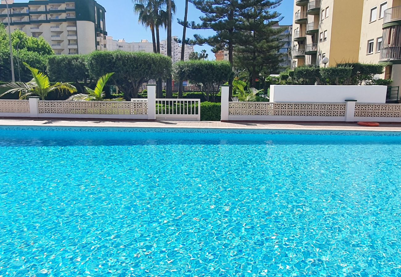 Apartamento en Gandia - SOROLLA B - 6º - 27ª    /    PLAYA DE GANDIA