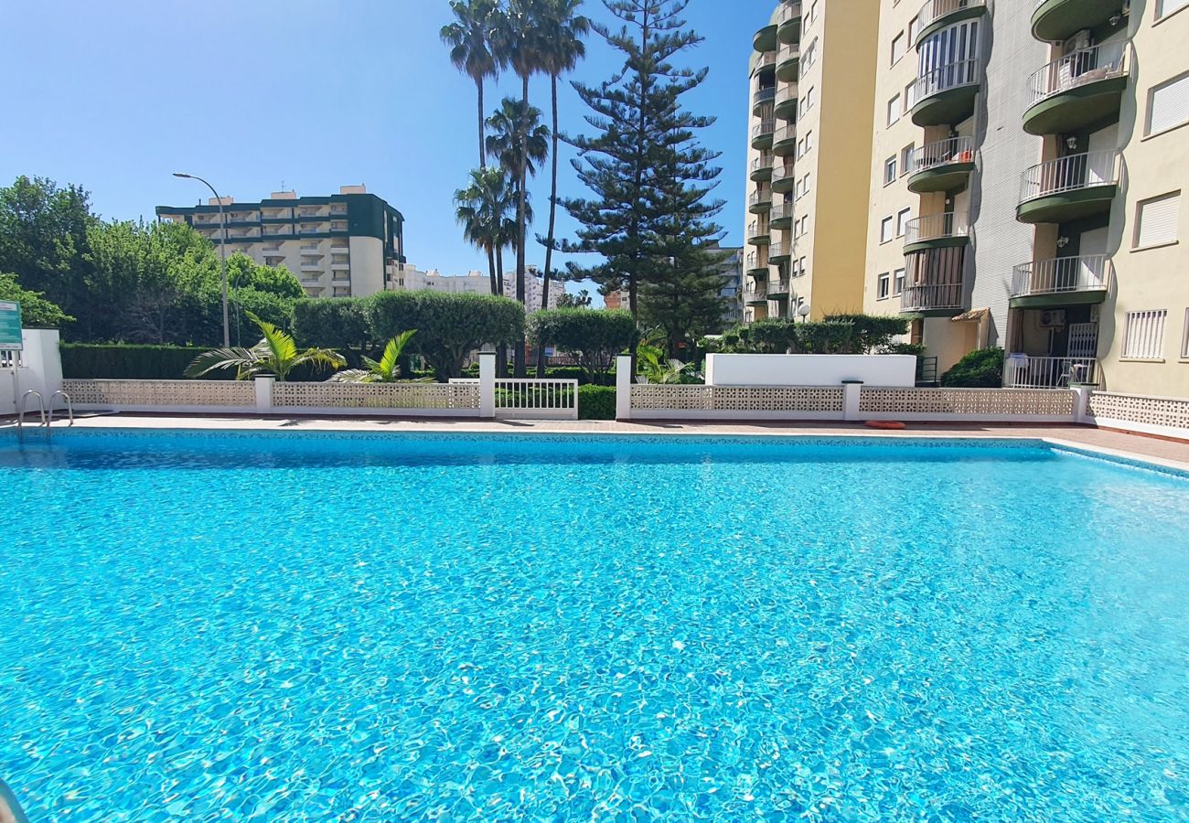 Apartamento en Gandia - SOROLLA B - 6º - 27ª    /    PLAYA DE GANDIA