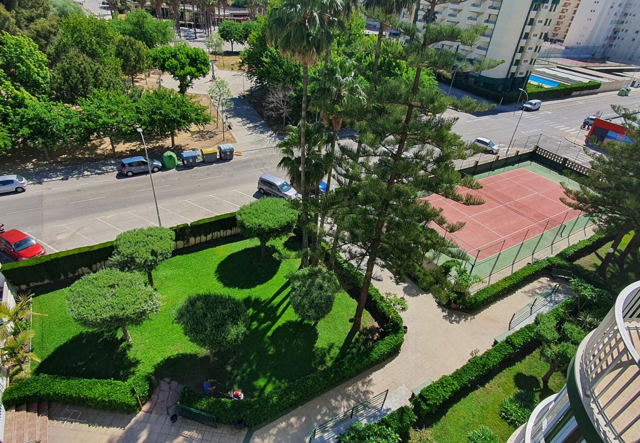 Apartamento en Gandia - SOROLLA B - 6º - 27ª    /    PLAYA DE GANDIA