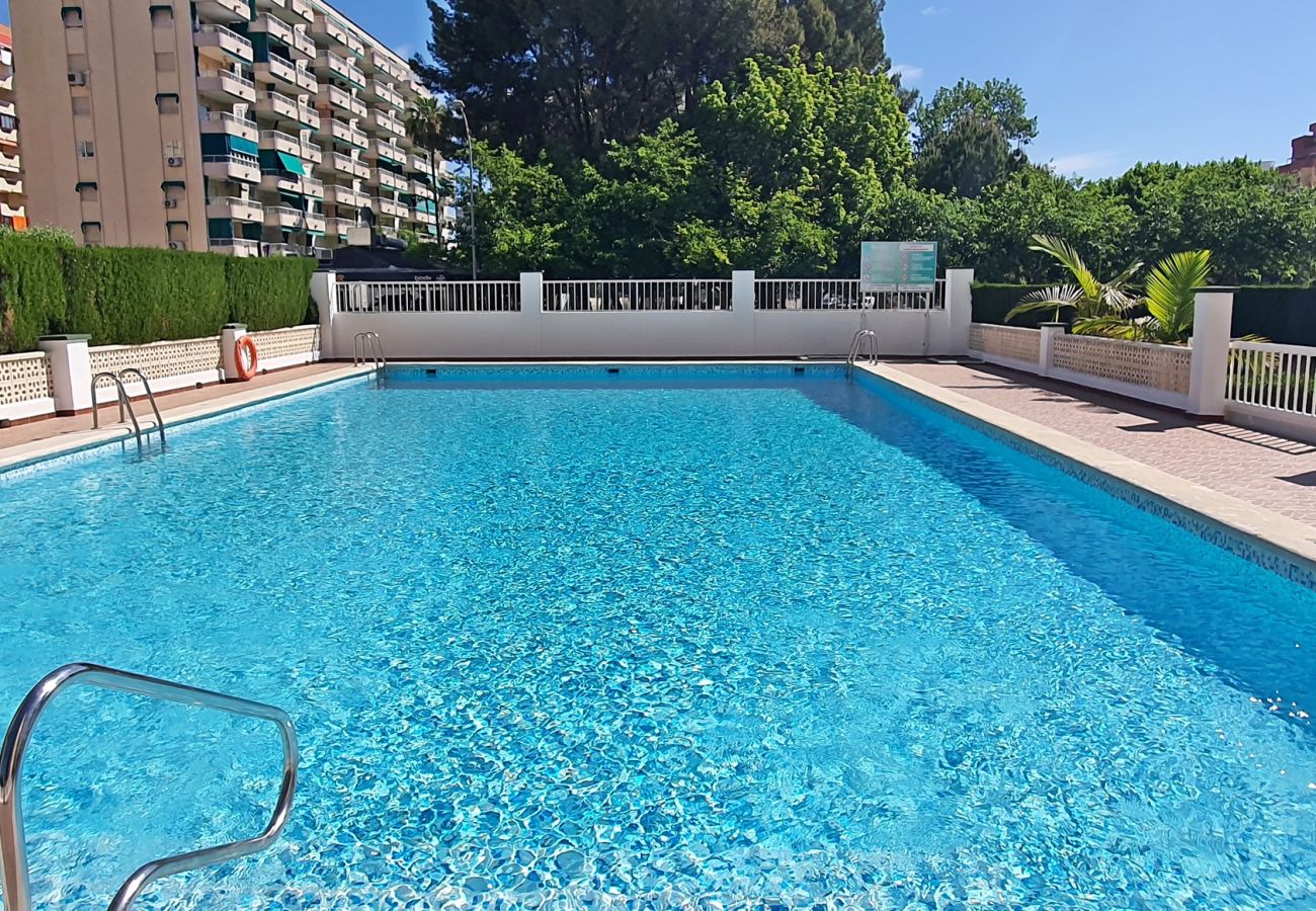 Apartamento en Gandia - SOROLLA B - 6º - 27ª    /    PLAYA DE GANDIA