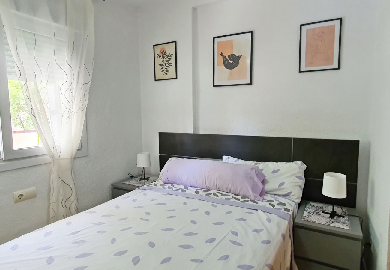 Apartamento en Gandia - ROMA VII - 1ª - 2º - 3ª    /    PLAYA DE GANDIA