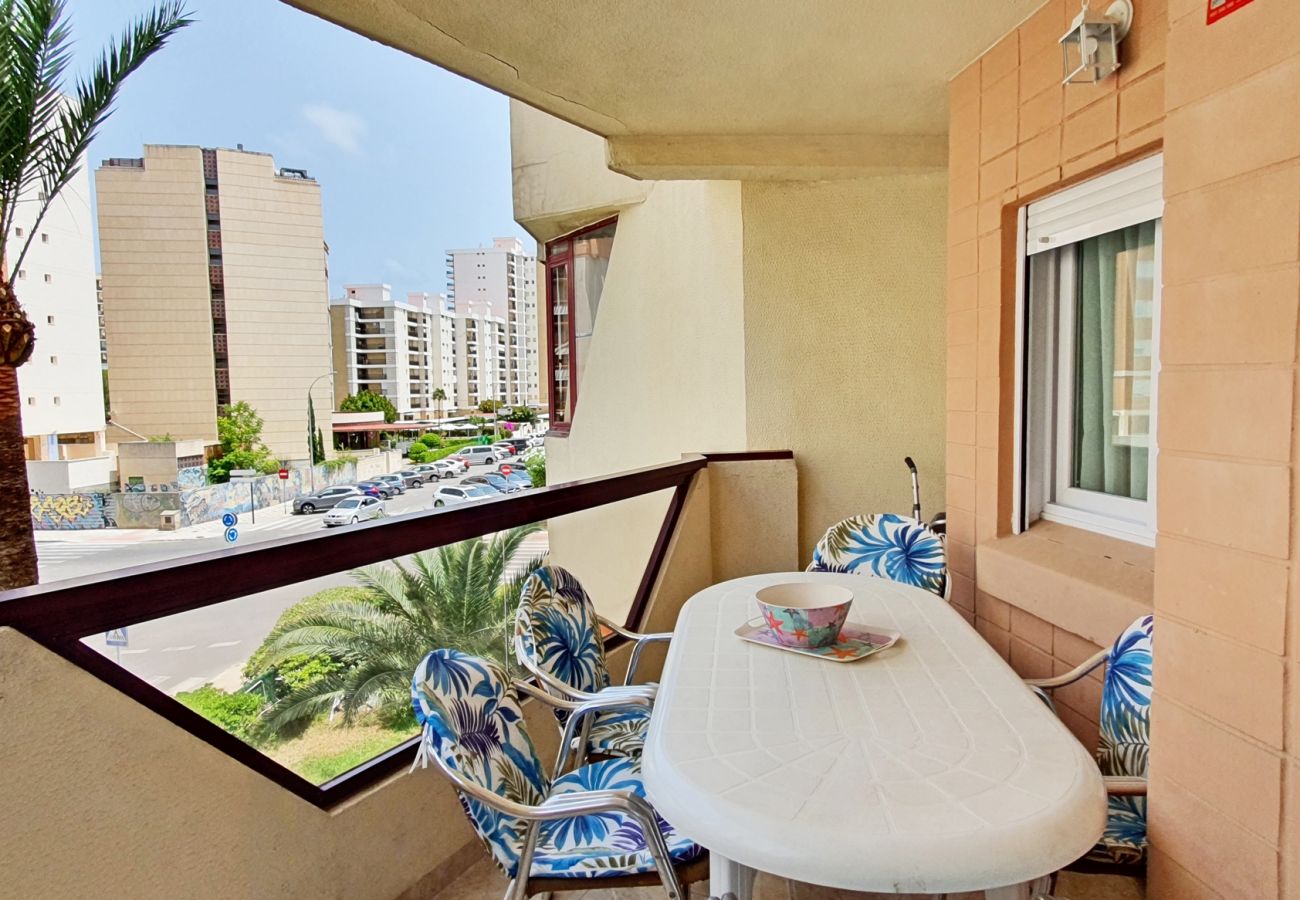 Apartamento en Gandia - ROMA VII - 1ª - 2º - 3ª    /    PLAYA DE GANDIA
