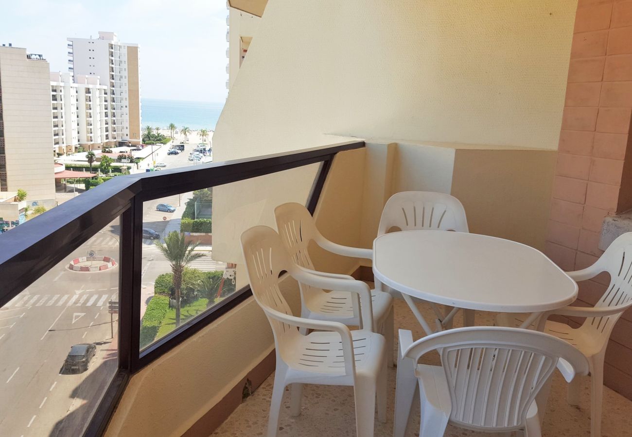 Apartamento en Gandia - ROMA VII - 5ª - 7º - 14ª    /    PLAYA DE GANDIA