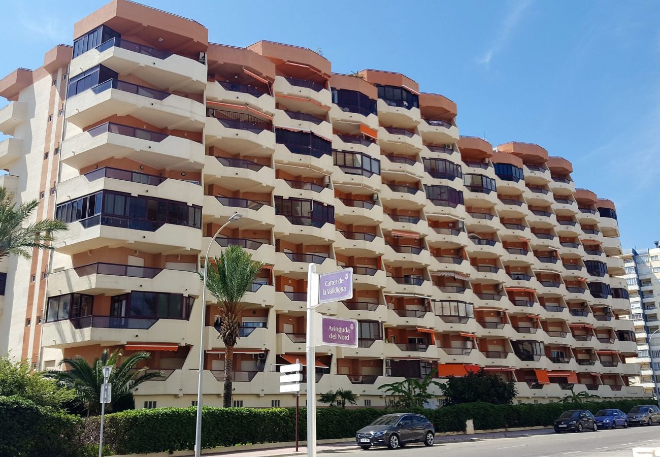 Apartamento en Gandia - ROMA VII - 5ª - 7º - 14ª    /    PLAYA DE GANDIA