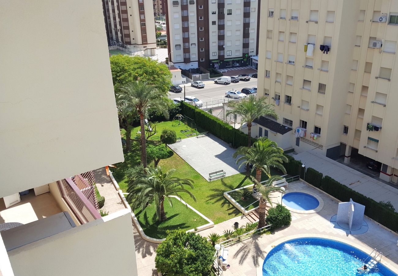 Apartamento en Gandia - ROMA VII - 5ª - 7º - 14ª    /    PLAYA DE GANDIA