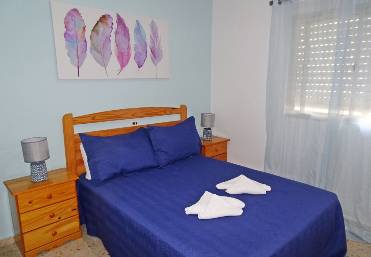 Apartamento en Gandia - ROMA VII - 5ª - 7º - 14ª    /    PLAYA DE GANDIA