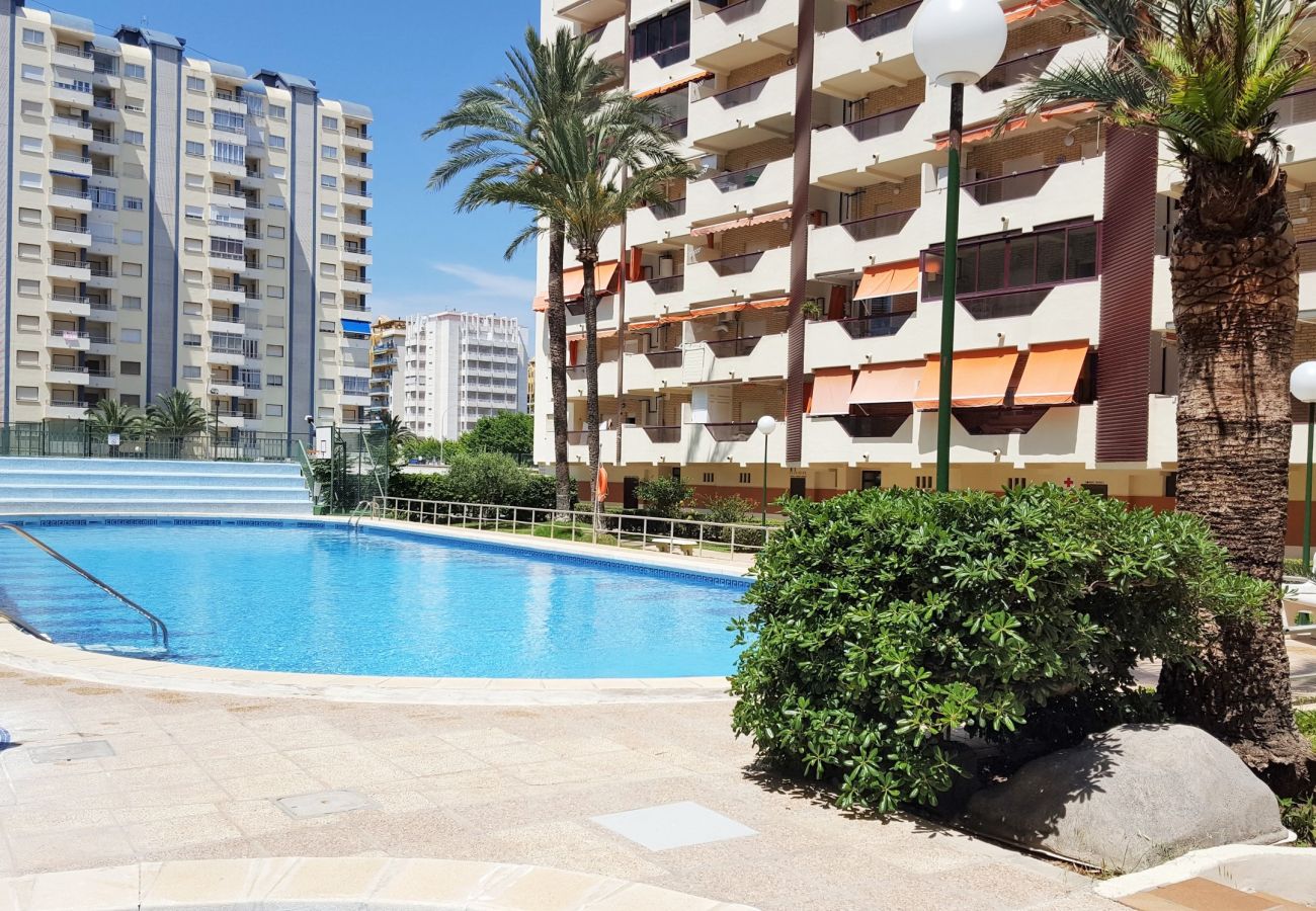 Apartamento en Gandia - ROMA VII - 5ª - 7º - 14ª    /    PLAYA DE GANDIA