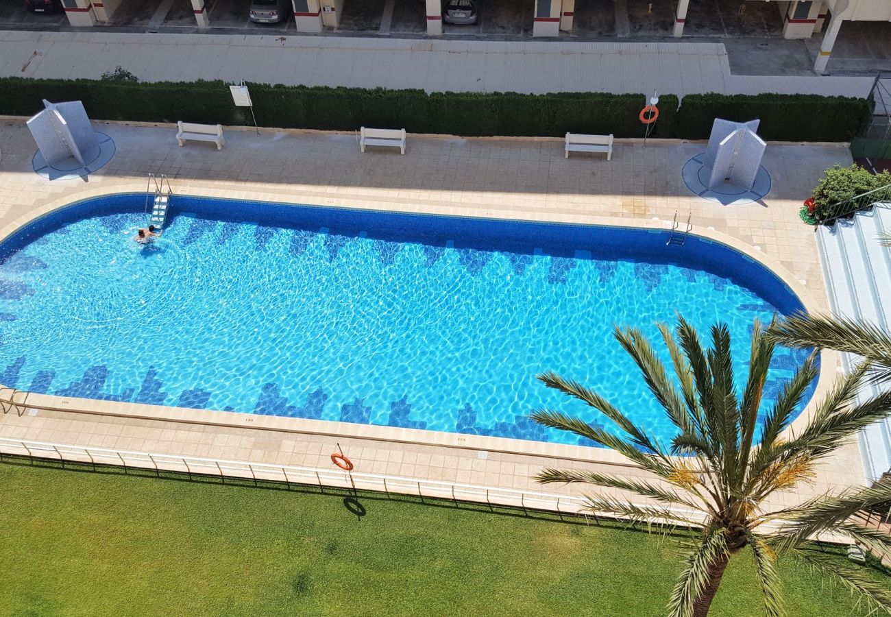 Apartamento en Gandia - ROMA VII - 5ª - 7º - 14ª    /    PLAYA DE GANDIA