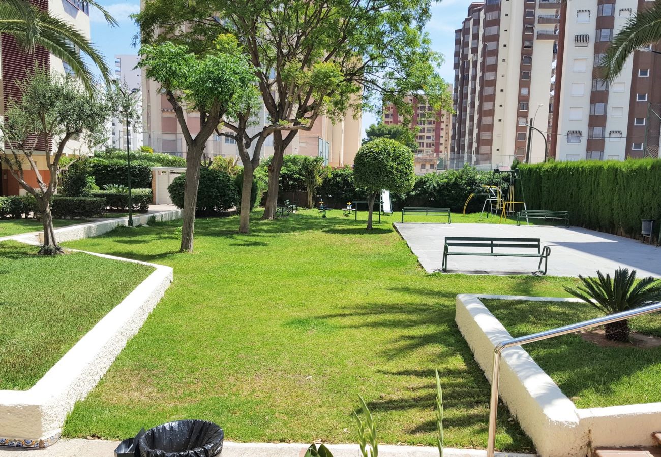 Apartamento en Gandia - ROMA VII - 5ª - 7º - 14ª    /    PLAYA DE GANDIA